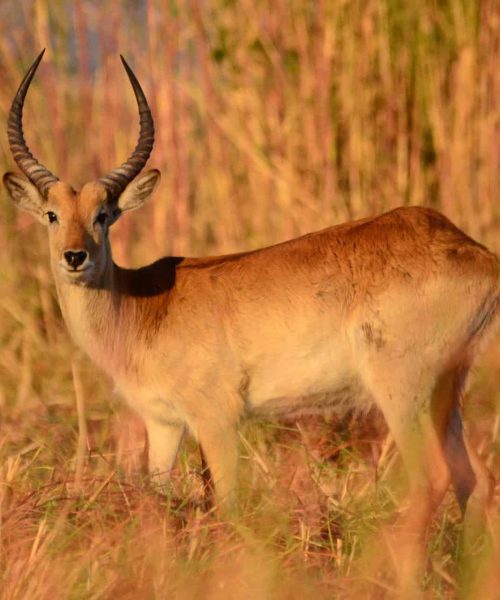 Our Trip to the Biggest National Park of Canada