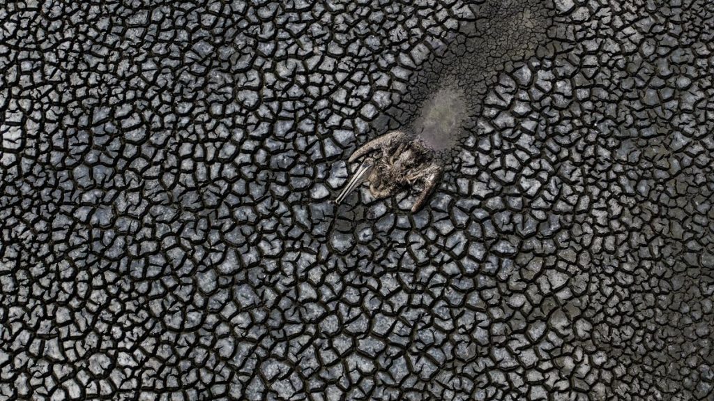 La sequía que azota a México, una tragedia predecible y devastadora